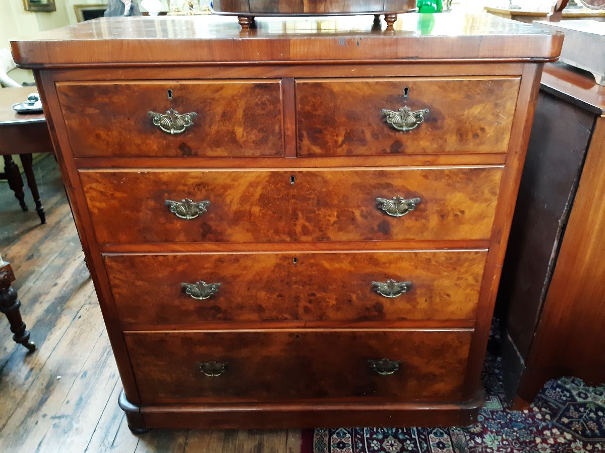 Victorian Burr Walnut Chest